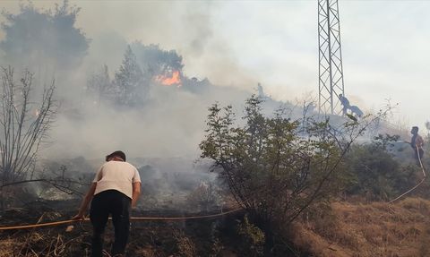 Sakarya'daki Orman Yangınına Müdahale Devam Ediyor