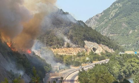 Sakarya'daki Orman Yangınına Müdahale Ediliyor