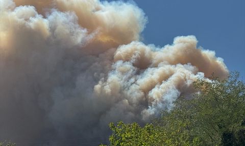 Sakarya'daki Orman Yangınına Müdahele Devam Ediyor