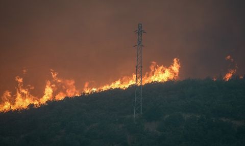 Sakarya'dan Bilecik'e Sıçrayan Orman Yangınına Müdahale Devam Ediyor