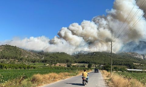 Sakarya Geyve'de Orman Yangınına Müdahale Ediliyor
