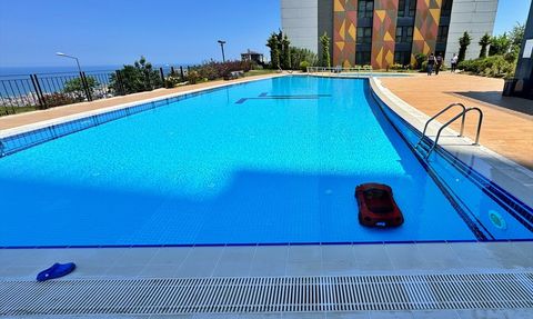 Samsun'da 4 Yaşındaki Çocuk, Akülü Arabasıyla Havuzda Boğulma Tehlikesi Geçirdi