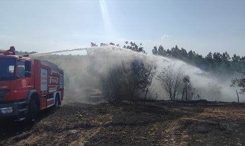 Samsun'da Tarımsal Yangın: 40 Dönüm Alan Zarar Gördü
