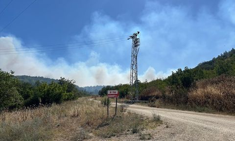 Silivri'de Orman Yangınına Müdahale Devam Ediyor
