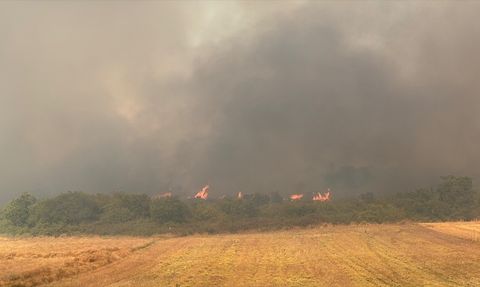 Silivri Orman Yangınına Müdahale Devam Ediyor
