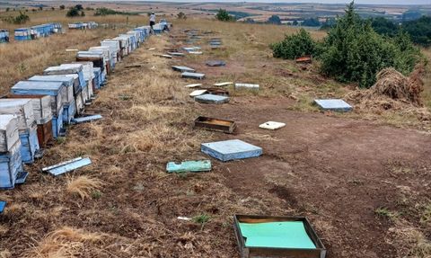 Tekirdağ'da Dolu Zararları Tarım Alanlarını Vurdu