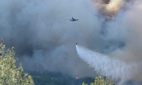 Tekirdağ'da Orman Yangını: Hızla Büyüyor