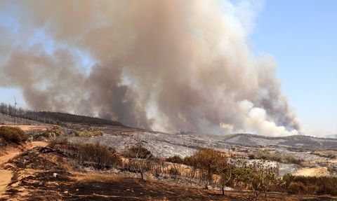 Tekirdağ'daki Yangınla İlgili Bakan Yumaklı'dan Açıklamalar
