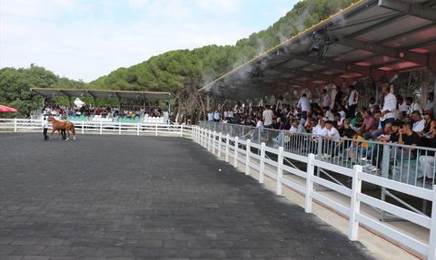 TİGEM'in E-Satışında Rekor Gelir: 45 Milyon Lira