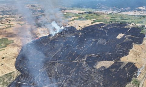 Tokat'ta Büyük Yangın: 250 Dekar Alan Zarar Gördü