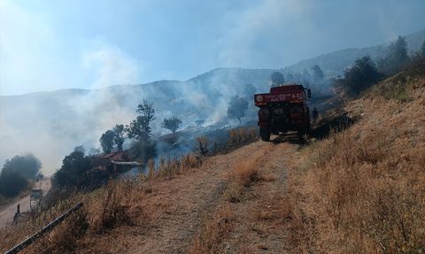 Tokat'ta Yangın: 10 Dönüm Alan Zarar Gördü