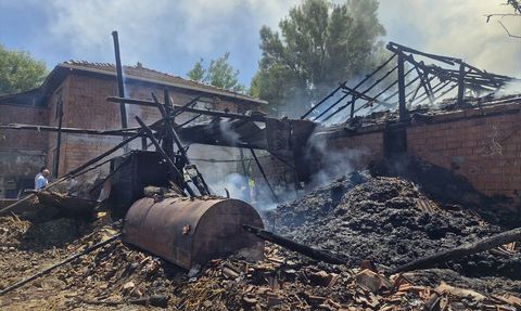 Tokat'ta Yangın: 7 Büyükbaş Hayvan Yok Oldu