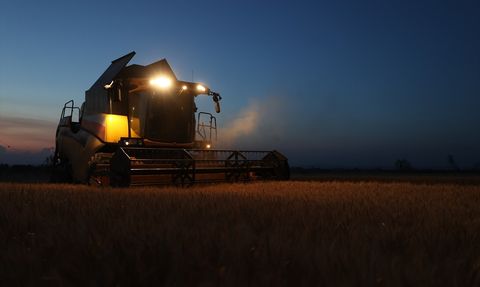 Trakya'da Gece Hasat: Sıcaklar Tarımı Etkiliyor