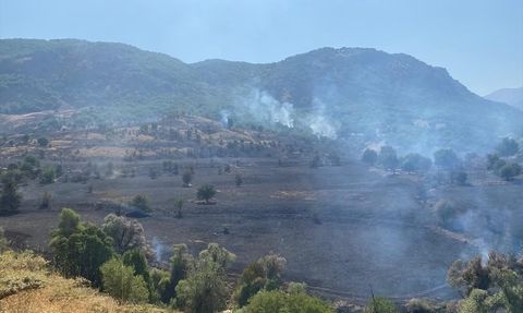 Tunceli'de Ortaya Çıkan Yangın Kontrol Altına Alındı