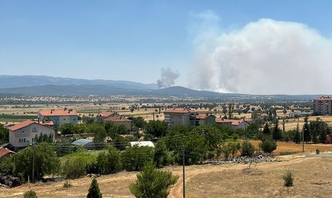 Uşak'ta Meşelik Alanda Yangın Kontrol Altına Alındı