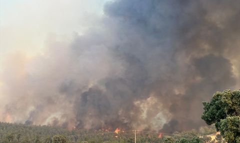 Uşak'ta Orman Yangınına Müdahale Devam Ediyor