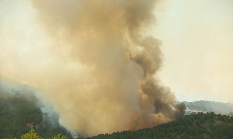 Uşak'taki Orman Yangını Kontrol Altına Alındı