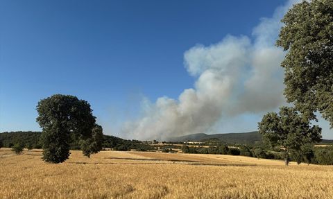 Uşak ve Manisa'da Yangınlarla Mücadele Devam Ediyor