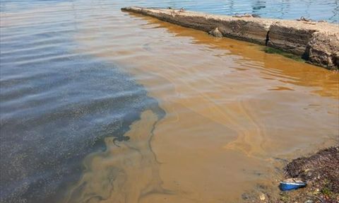Yalova'da Deniz Kirliliğine Neden Olan İşletmeye İnceleme Başlatıldı