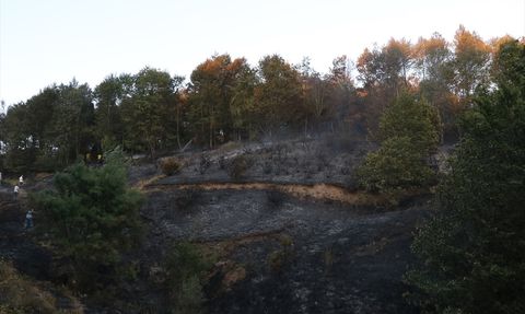 Yalova ve Bursa Sınırında Yangın Kontrol Altına Alındı