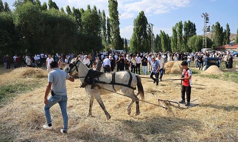 6. Harman Festivali Bayburt'ta Coşkuyla Başladı