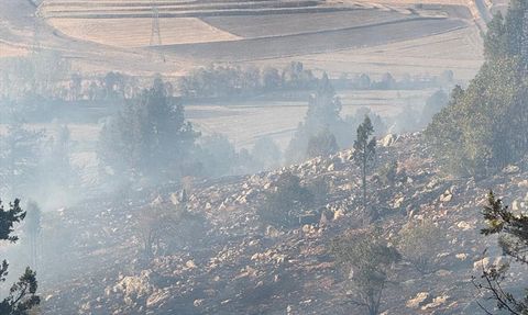Adana'da Orman Yangını Kontrol Altına Alındı