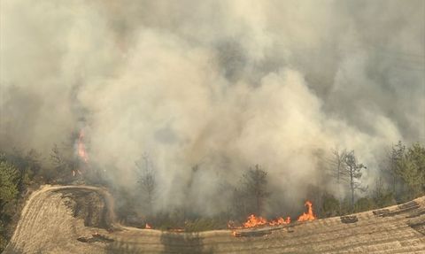 Adana'da Yangın Kontrol Altına Alındı