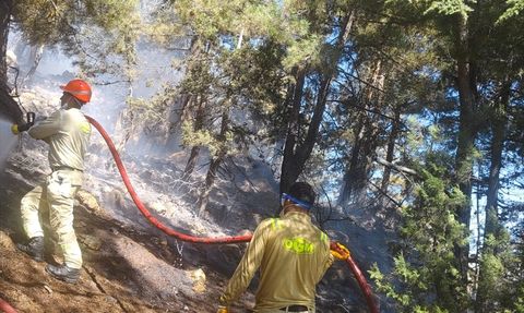 Adana'daki Orman Yangını Kontrol Altına Alındı