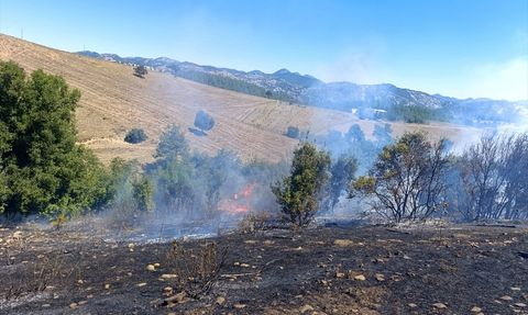 Adana'daki Orman Yangını Kontrol Altına Alındı