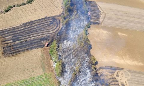Adana Karaisalı'daki Orman Yangını Kontrol Altına Alındı