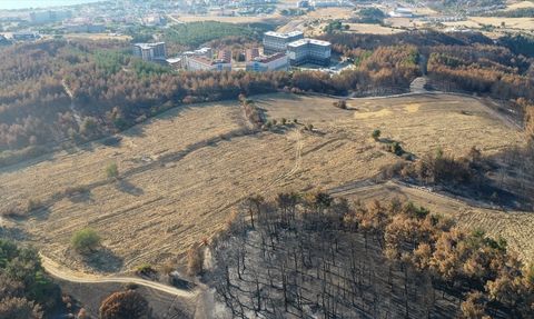Anızı Toprağa Karıştırma Yöntemi Orman Yangınlarını Yavaşlatıyor