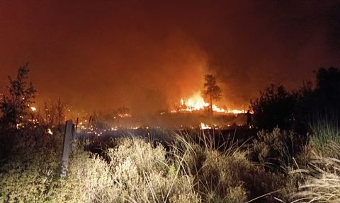 Antalya'da Tarım Arazisindeki Yangın Kontrol Altına Alındı