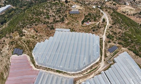 Antalya'daki Tropikal Meyve Bahçesinde Güneş Enerjisi Projesi