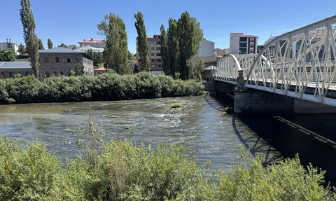 Ardahan'da Kura Nehri'nde Yosunlanma Sorunu