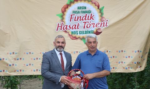Arsin Foşa Fındığı Hasadı Coşkuyla Başladı