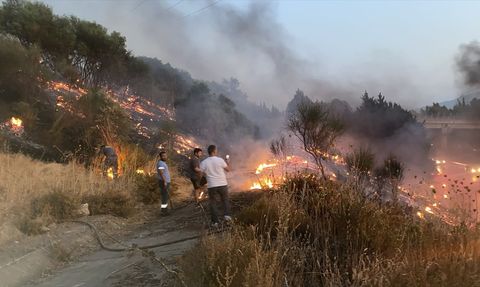 Aydın'da Otoyolda Yangın: Alevler Ağaçlık Alana Sıçradı