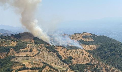 Aydın'da Tarım Arazisinde Yangın Kontrol Altına Alındı