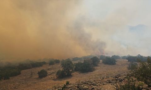 Balıkesir'de Orman Yangını Kontrol Altına Alındı