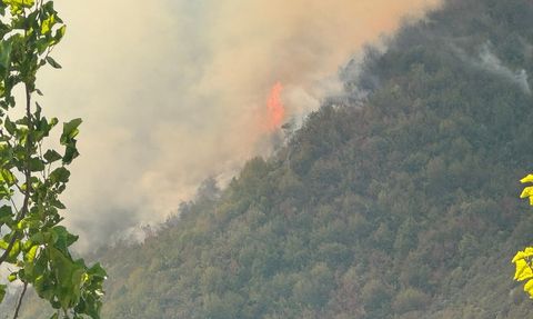 Bartın'da Orman Yangınına Müdahale Başlatıldı