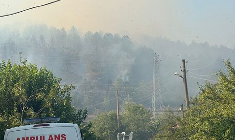 Bartın'daki Orman Yangını Kontrol Altına Alındı
