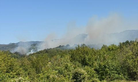 Bartın'daki Orman Yangınına Müdahale Başlatıldı