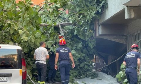 Beyoğlu'nda Devrilen Ağaçlar Park Halindeki Araçlara Zarar Verdi