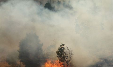 Bingöl'de Orman Yangınına Hızlı Müdahale