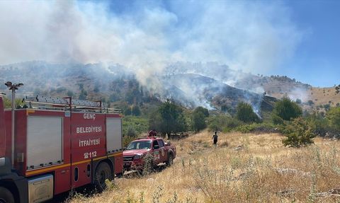 Bingöl'deki Orman Yangını Kontrol Altına Alındı