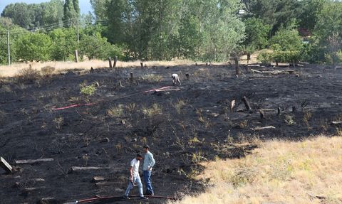 Bitlis'te Mezarlık Yangını Kontrol Altına Alındı