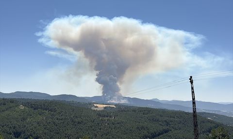 Bolu'da Orman Yangını: Müdahale Başlatıldı