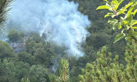 Bolu'da Orman Yangını Kontrol Altına Alındı