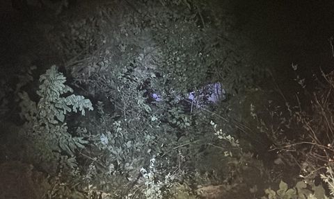 Bolu Dağı'nda Kamyonet Uçuruma Yuvarlandı: Sürücü Yaralı