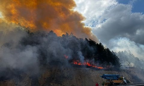 Bolu'daki Orman Yangınına Müdahale Başlatıldı
