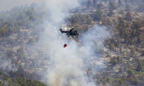Bulgaristan'da Sakar Dağı'nda Dev Yangın: 30 Bin Dönüm Tehdit Altında